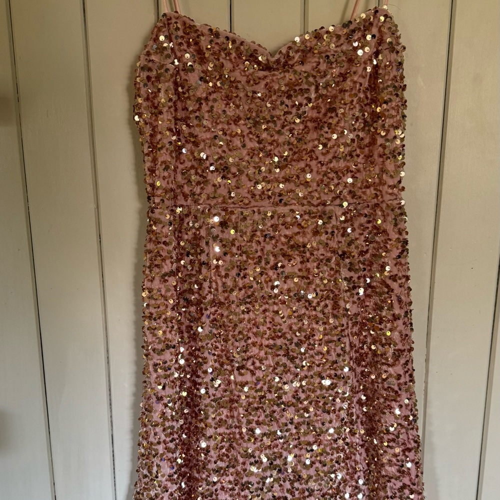 Selfie Leslie Rose Gold Dress